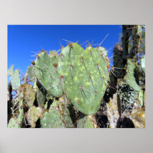 Prickly Pear Harten Poster