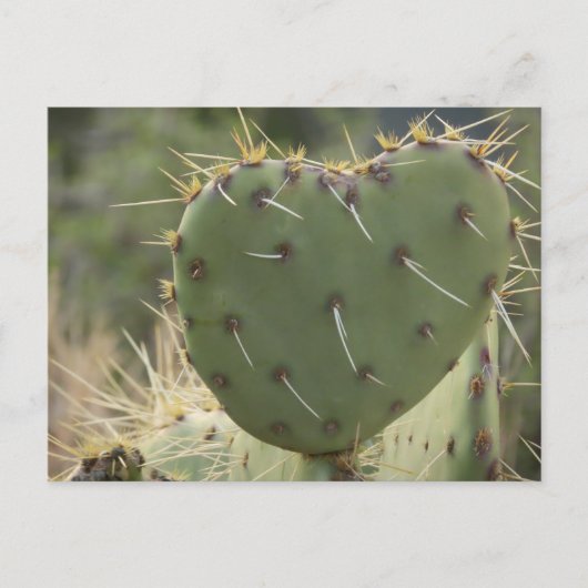 Prickly Pear Heart Briefkaart (Voorkant)
