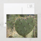 Prickly Pear Heart Briefkaart (Voorkant / Achterkant)