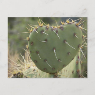 Prickly Pear Heart Briefkaart