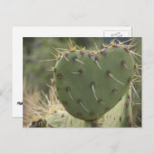 Prickly Pear Heart Briefkaart (Voorkant / Achterkant)