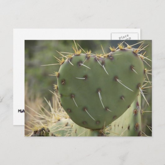 Prickly Pear Heart Briefkaart (Voorkant / Achterkant)