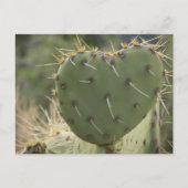 Prickly Pear Heart Briefkaart (Voorkant)