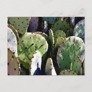 Prickly Pear nr. 3 Briefkaart