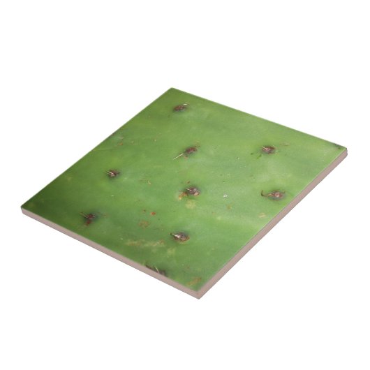 Prickly Pear Pad Tegeltje (Zijkant)