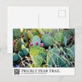 Prickly Pear Trail Briefkaart (Voorkant / Achterkant)
