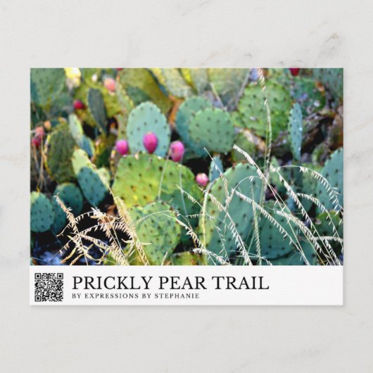 Prickly Pear Trail Briefkaart (Voorkant)