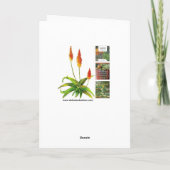 Prickly pear wenskaart bedankkaart (Achterkant)