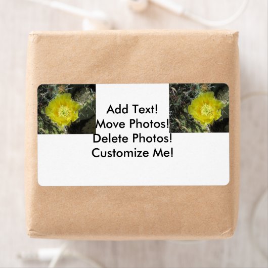 Prickly Pear Yellow Bloom Close Etiket (Insitu)