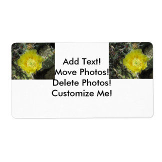 Prickly Pear Yellow Bloom Close Etiket