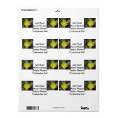 Prickly Pear Yellow Bloom Close Etiket (Full Sheet)