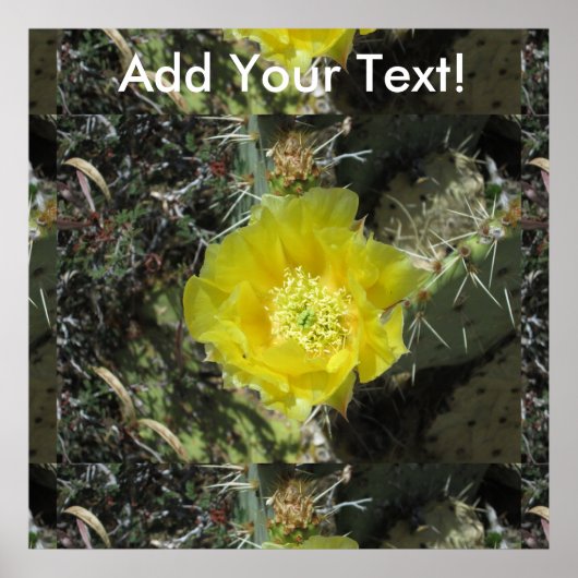 Prickly Pear Yellow Bloom Close Poster (Voorkant)