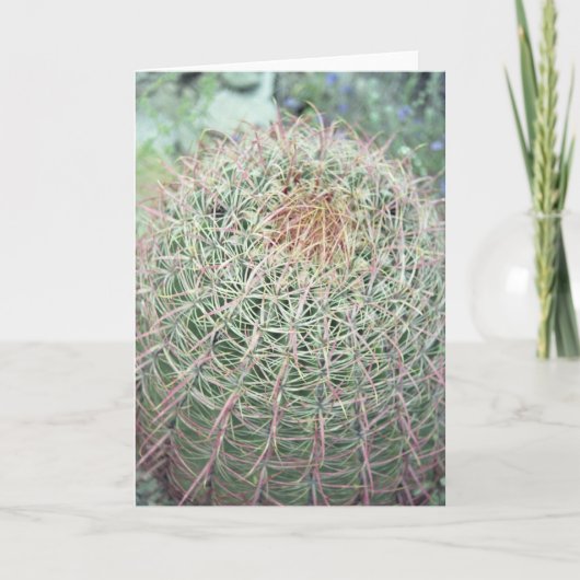 Prickly Pink Cactus Greet of Note Cards Kaart (Voorkant)