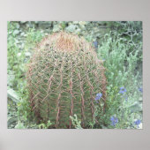 Prickly Pink Petals Cactus Desert Photo Poster (Voorkant)