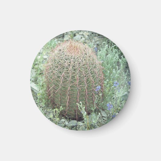 Prickly Pink Petals Cactus koelkast Magnet (Voorkant)