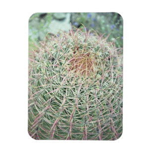 Prickly Pink Swirl Cactus Decorative Fridge Magnet Magneet