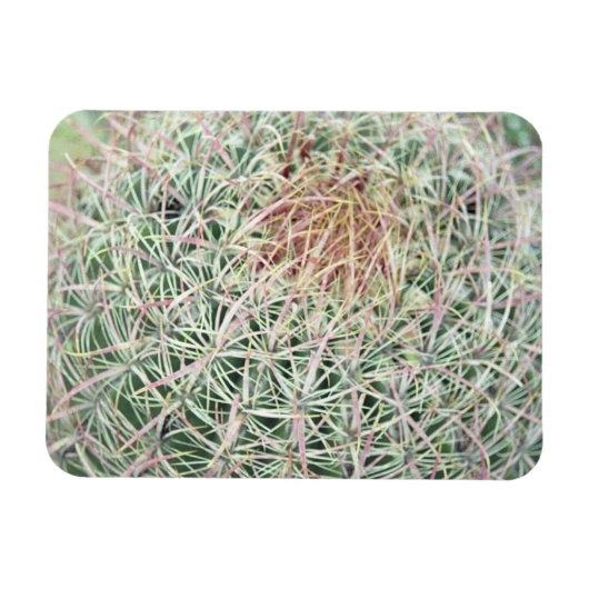 Prickly Pink Swirl Cactus Decorative Fridge Magnet Magneet (Horizontaal)