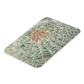 Prickly Pink Swirl Cactus Decorative Fridge Magnet Magneet (Linkerzijde)