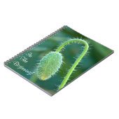 Prickly Poppy Bud in progress close-up foto Notitieboek (Linkerzijde)