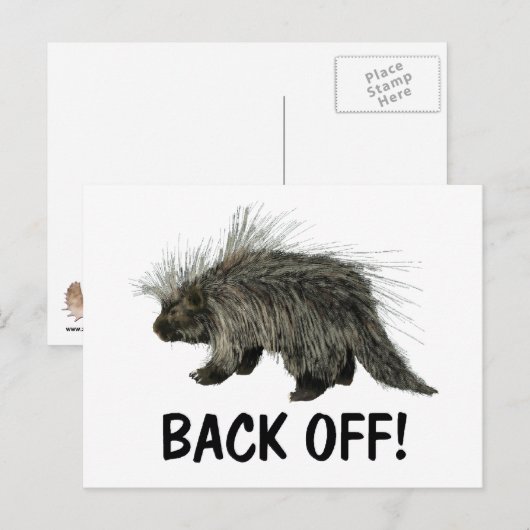 Prickly Porky Briefkaart (Voorkant / Achterkant)