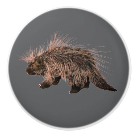 Prickly Porky Keramische Knop (Voorkant)