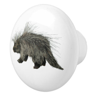 Prickly Porky Keramische Knop