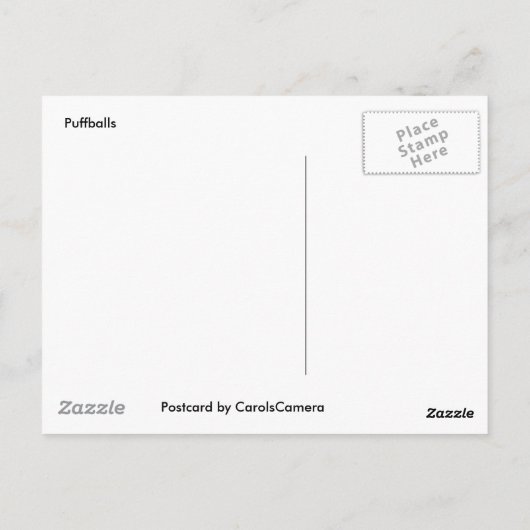 Prickly Puffs Mushroom Briefkaart (Achterkant)