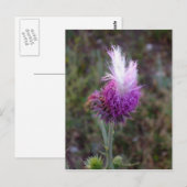 Prickly Punk Briefkaart (Voorkant / Achterkant)