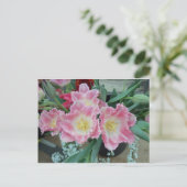 Prickly roze ventilator briefkaart (Staand voorkant)