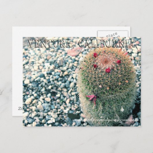 Prickly Ventura Briefkaart (Voorkant / Achterkant)