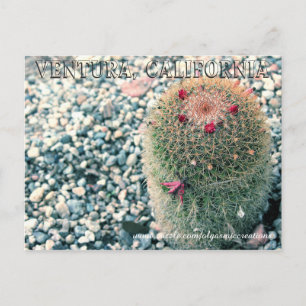 Prickly Ventura Briefkaart