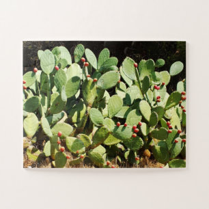 Prickpercactus Legpuzzel