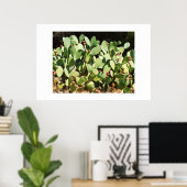 Prickpercactus Poster (Thuiskantoor)