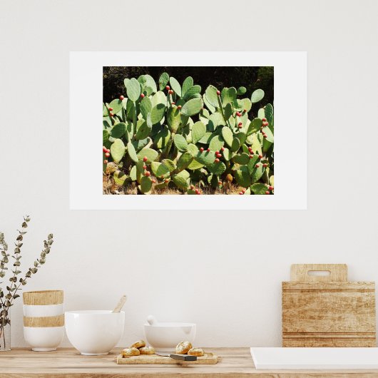 Prickpercactus Poster (Keuken)
