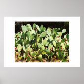 Prickpercactus Poster (Voorkant)