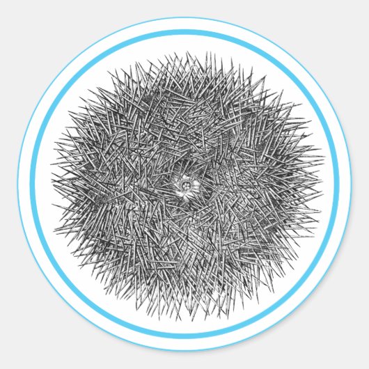 Pricky Urchin-sticker Ronde Sticker (Voorkant)