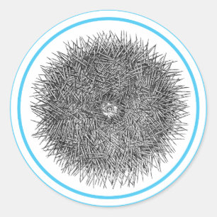 Pricky Urchin-sticker Ronde Sticker