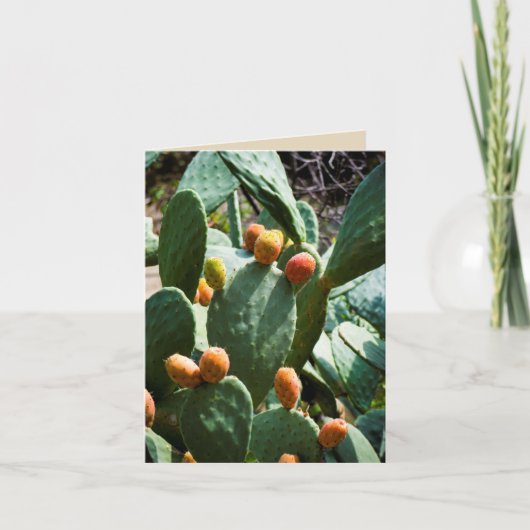 Pricyclische perenvruchten kaart (Voorkant)