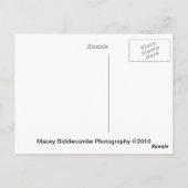 Pride Balloons Briefkaart (Achterkant)