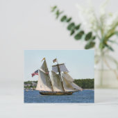 Pride Baltimore II Tall Ship Briefkaart (Staand voorkant)