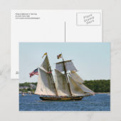 Pride Baltimore II Tall Ship Briefkaart (Voorkant / Achterkant)