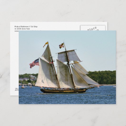 Pride Baltimore II Tall Ship Briefkaart (Voorkant / Achterkant)