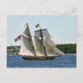 Pride Baltimore II Tall Ship Briefkaart (Voorkant)