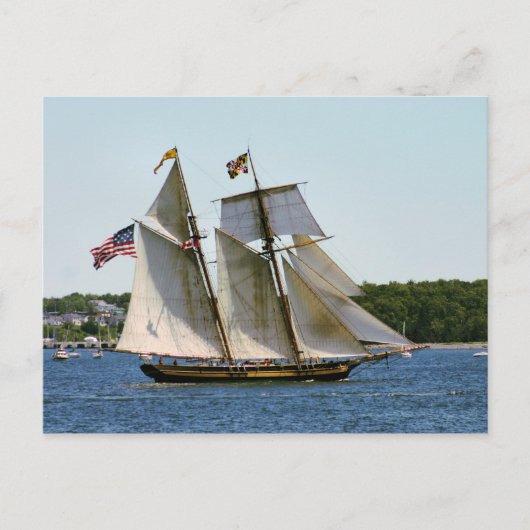 Pride Baltimore II Tall Ship Briefkaart (Voorkant)
