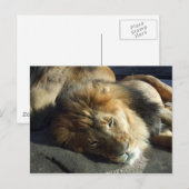 Pride Briefkaart (Voorkant / Achterkant)