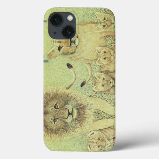 Pride Case-Mate iPhone Case (Achterkant)