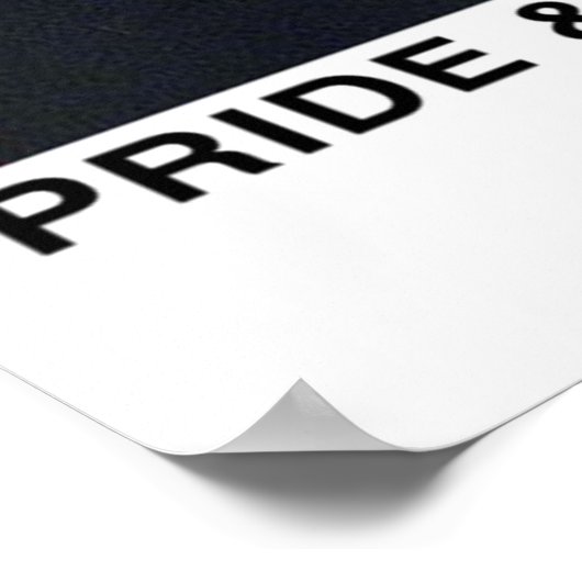 Pride en Prejudice 2005 Poster (Hoek)