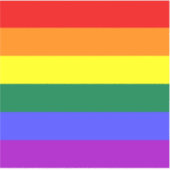 Pride Flab Vinyl Sticker (Voorkant)