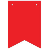 Pride Flag Assortment Garland Vlaggetjes (Tweede vlag)