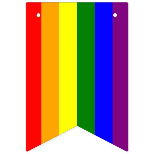 Pride Flag Megamix Bunting Flags Vlaggetjes (Eerste vlag)